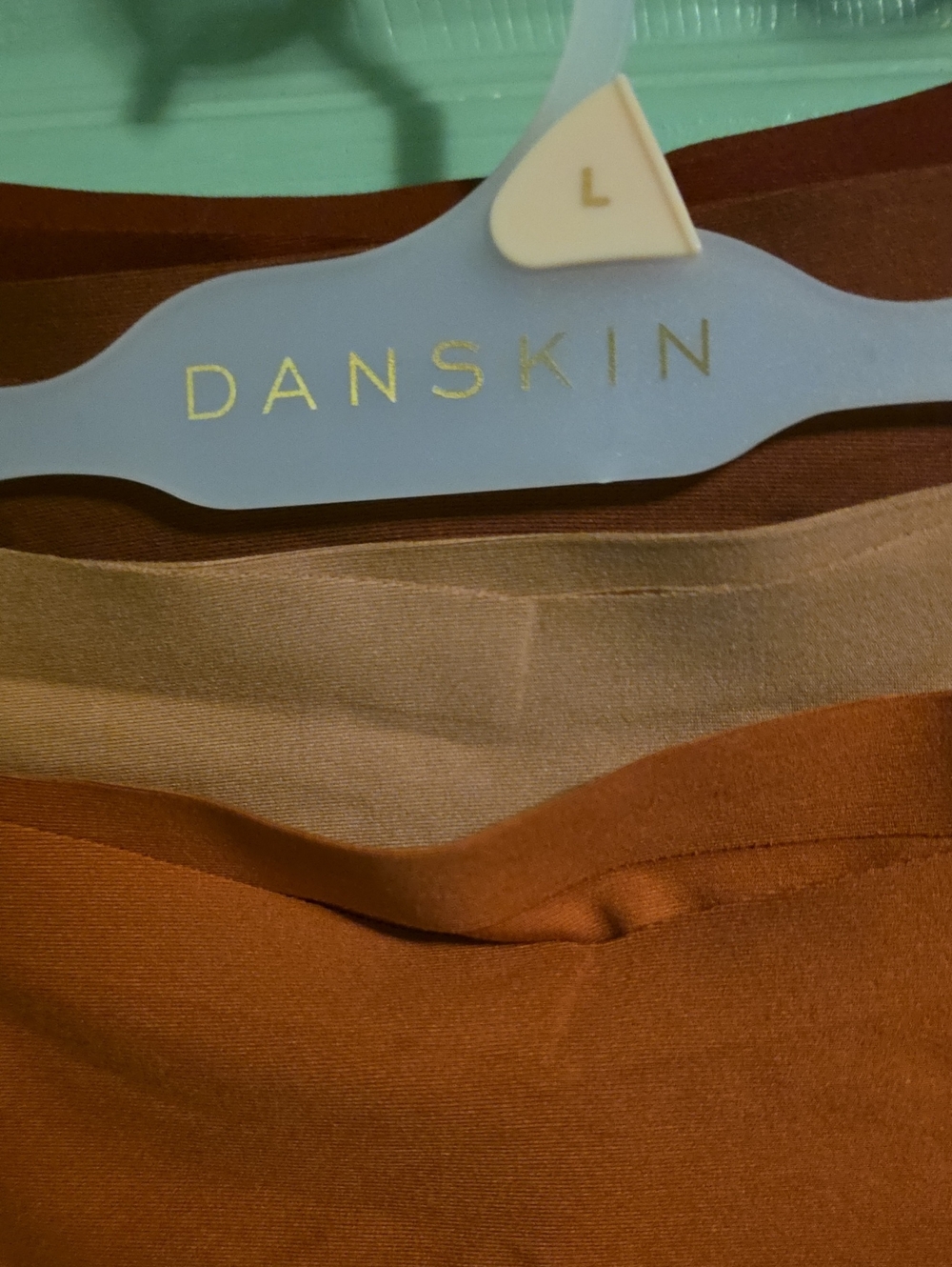 Danskin Briefs 4pr  (NEW ON HANGER) Size Large New WITHOUT tags - Picture 4 of 6
